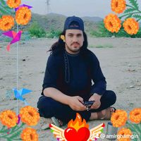 amirghamgin