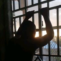 shifour.lunya