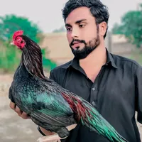 original sound - rananomi727