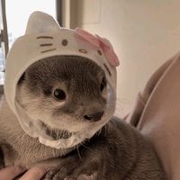suara asli - Azalia