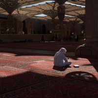 دياحين السعدددددددد