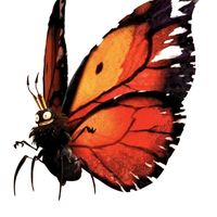fandeseries_peliculas