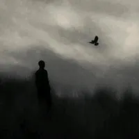 original sound - dandian00