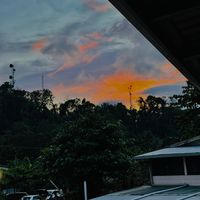 0rchids.kaukau