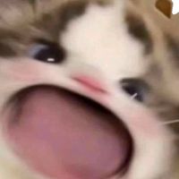suara asli