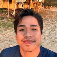 original sound - Amsler