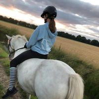 allesaccount015