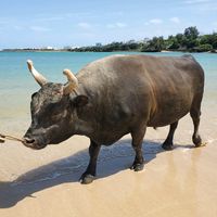 オリジナル楽曲 - hiroma