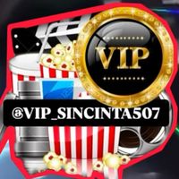 vip_sincinta507