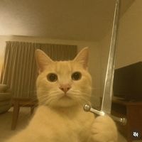 jeff__404