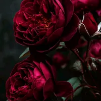 original sound - ebraheemalahmad22