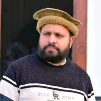 original sound - zsp786