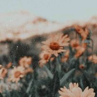 karaa.aesthetic
