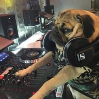 original sound - S/T