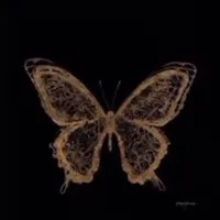 original sound - s_5o2i