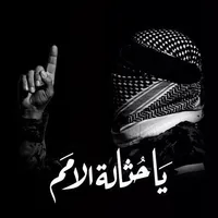 original sound - hamodybr