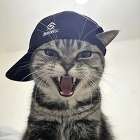 suara asli - Mungakk44