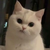 เสียงต้นฉบับ - Moominnnn