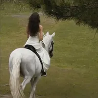 original sound - meinkonhun1