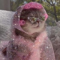 _bebekitty