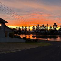 ollie_28272