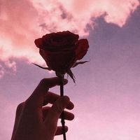 pov_message1