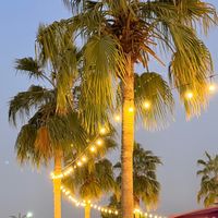 bushrasikandar