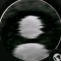 mr__flexxyy