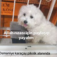 cenan1122
