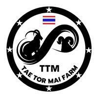 .ttm99