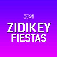 zdk_company