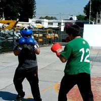 31boxingmx