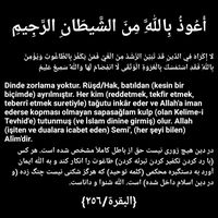 orijinal ses