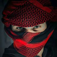 baghi__typist05