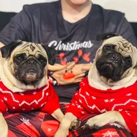 Patitas olor a chetos