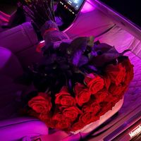 ltt7ad_.ms