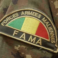 original sound - mola_com