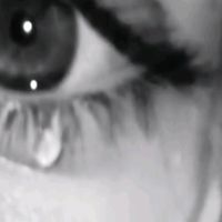 dy7x3vvpj5zy