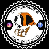 sanbernardosmartinorozco