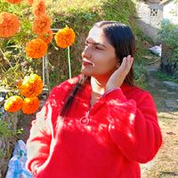 nirmalaadhikari2578