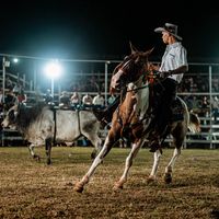 its_matamoros2