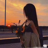 user4541180619343