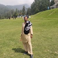 faizanmlangi