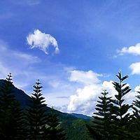 gret._12345678