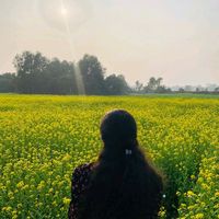 _nila_dri_