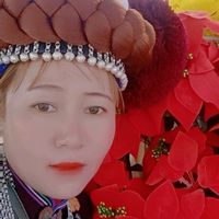 nhạc nền