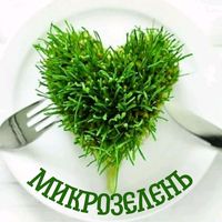 green.vitamin