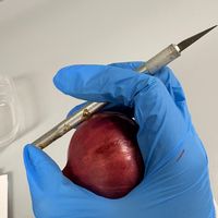 laboratorio_secreto