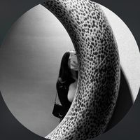 _.luisabel