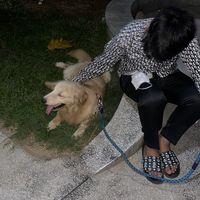 original sound - Amy🎧